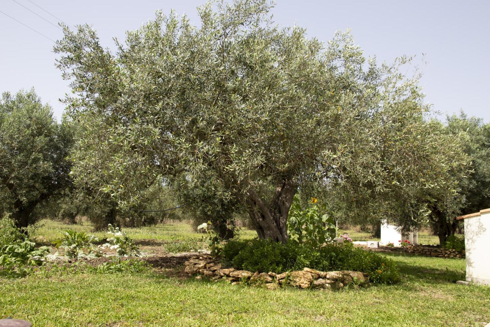 Villa Casa Raineri Paceco Esterno foto