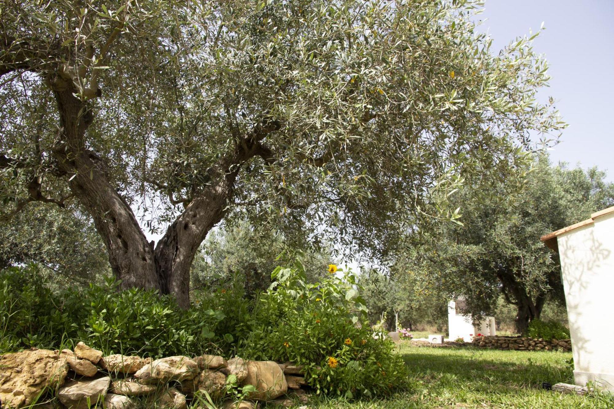 Villa Casa Raineri Paceco Esterno foto